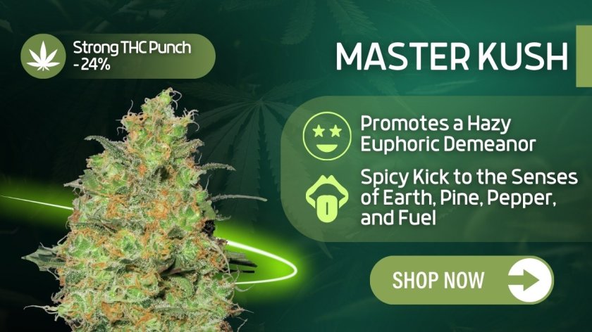 Master Kush